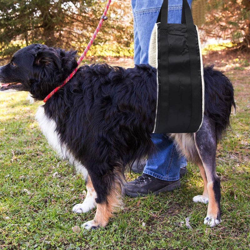 FSUHHIAD 20-150lb Dog Sling for Large Dogs Hind Leg Support, Hevy Duty Portable Dog Lift Harness for Back Legs, Dog Hip Harness Large Breed, Dogs Lifter to Help Lift Rear for Senior/Injured Dog - Image 4